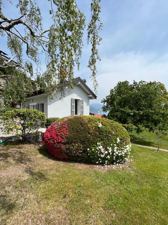 Villa Le Betulle Oggebbio Exterior foto